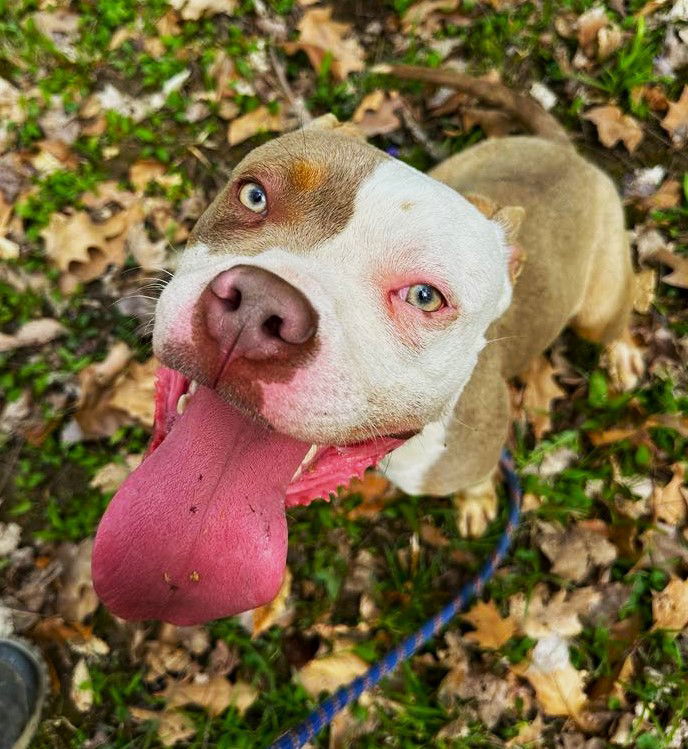 Marco *prison program