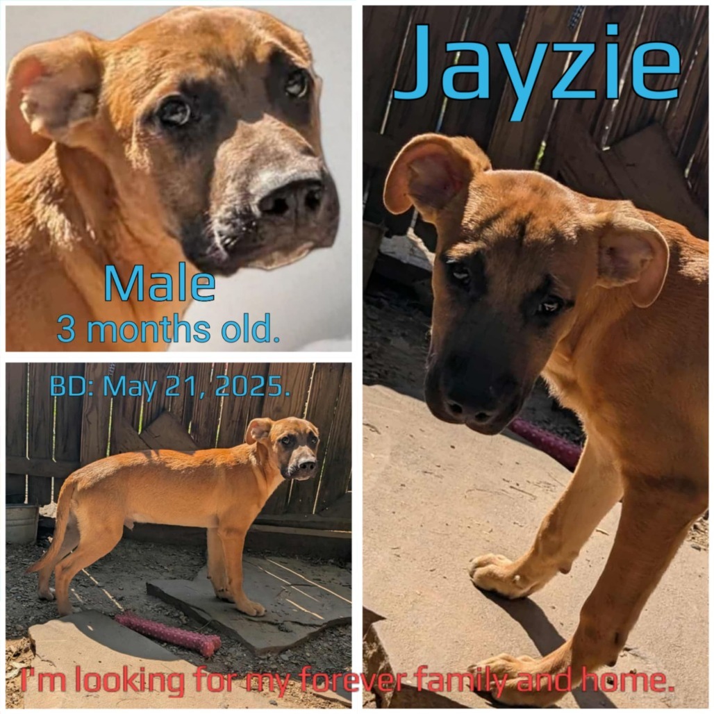 Jayzie