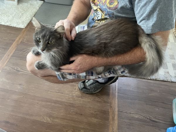 Smurfette thumbnail 2