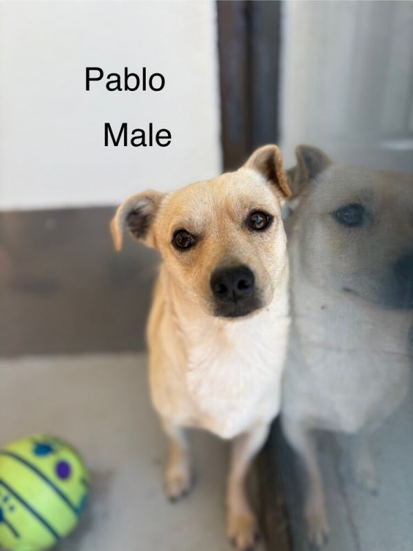 Pablo