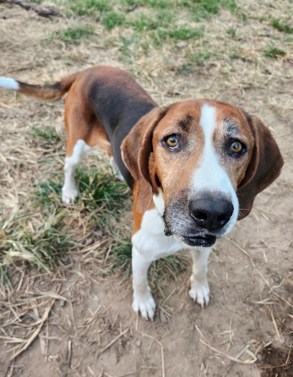 Nelson Tarboro photo 1