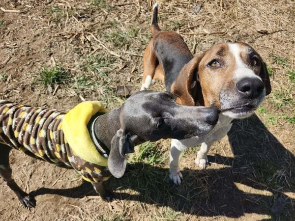 Nelson Tarboro thumbnail 2