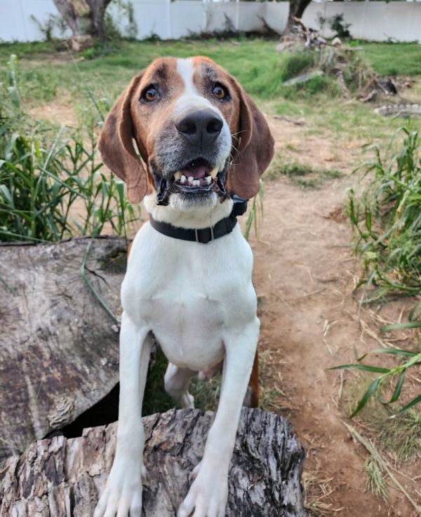 Nelson Tarboro thumbnail 3