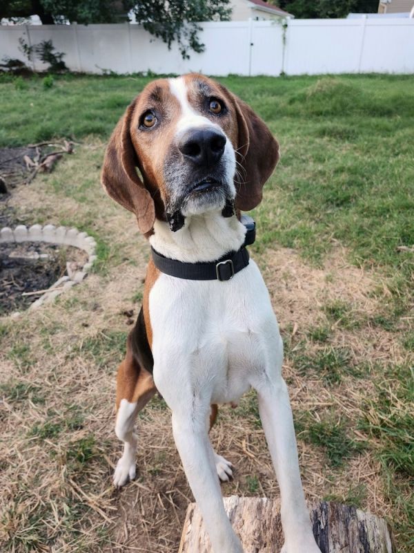 Nelson Tarboro thumbnail 4