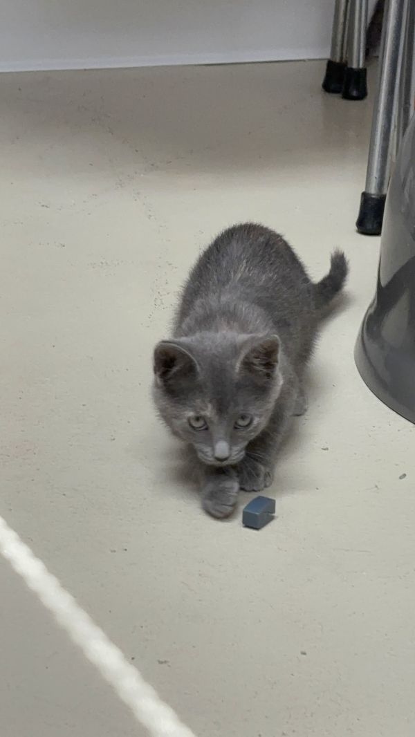 Wednesday thumbnail 2