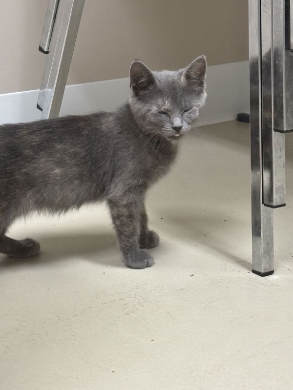 Wednesday thumbnail 3