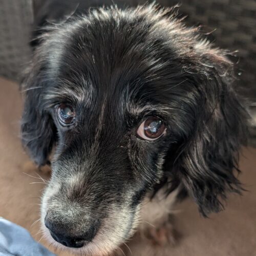 Maggie H thumbnail 3