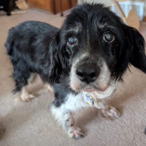 Maggie H thumbnail 4