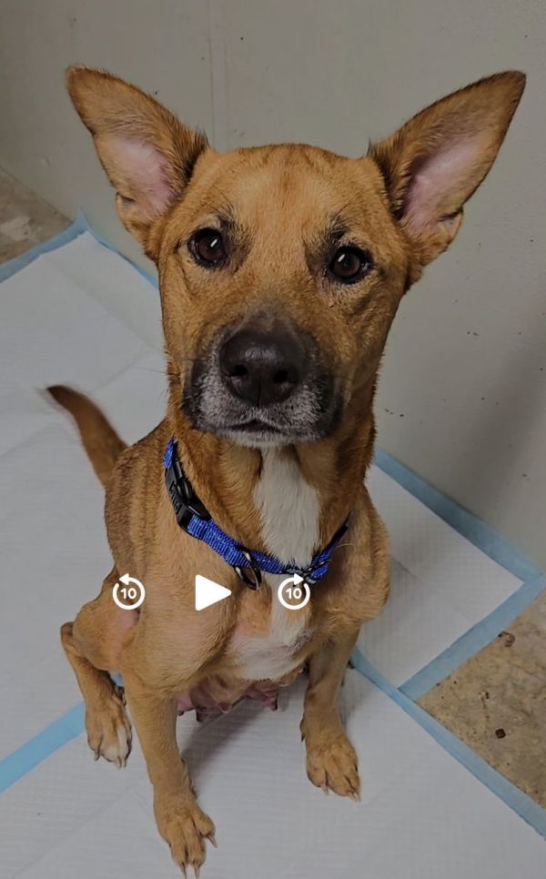 Christine thumbnail 2