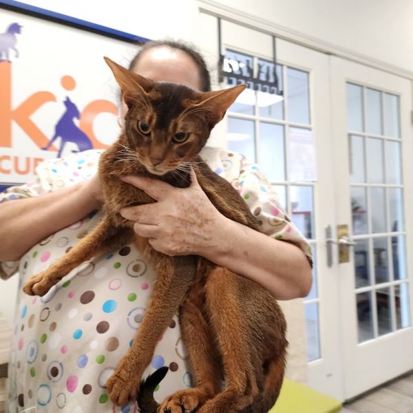 Hamilton thumbnail 3