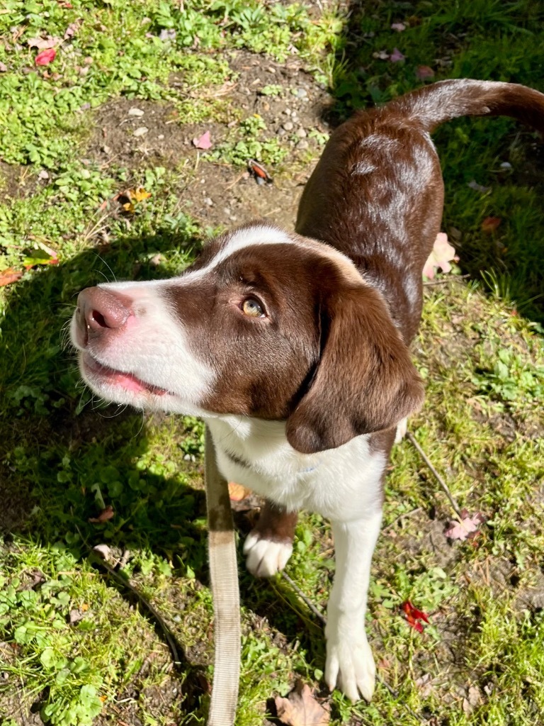 Klondike