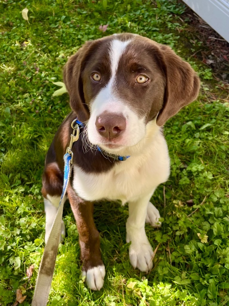 Klondike