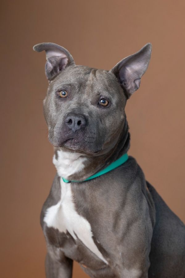 Cupid Shuffle photo 1