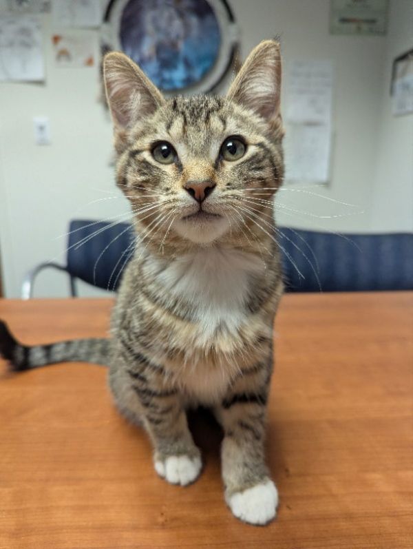 Max