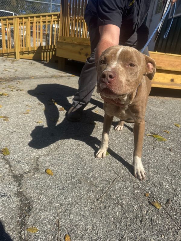 Cauldron thumbnail 2