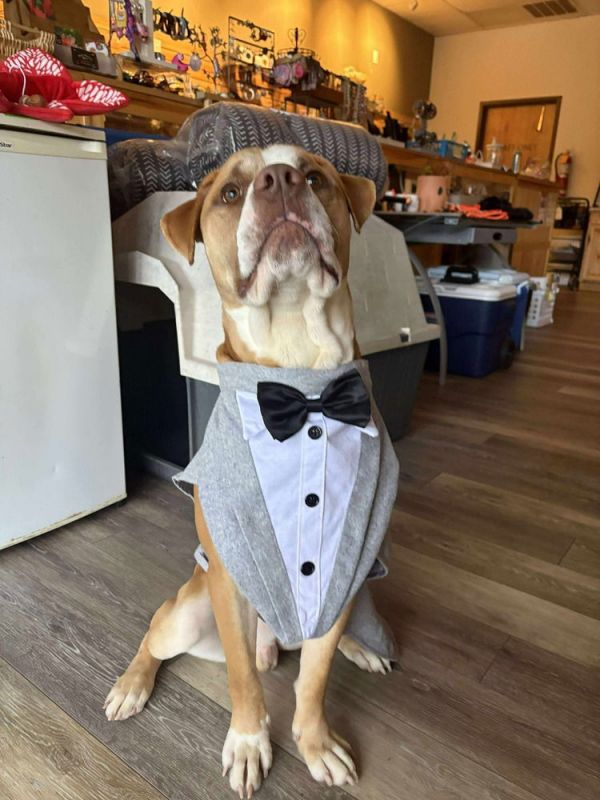 Sixseven thumbnail 2