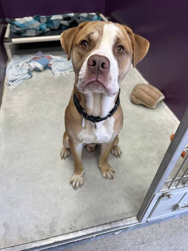 Sixseven thumbnail 3