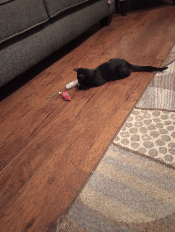 Zclc Julie thumbnail 2