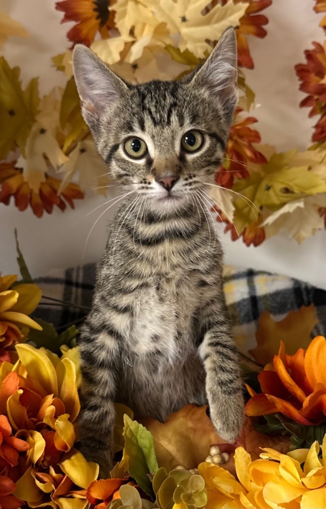 (CT) 9/3/25 - Tabitha