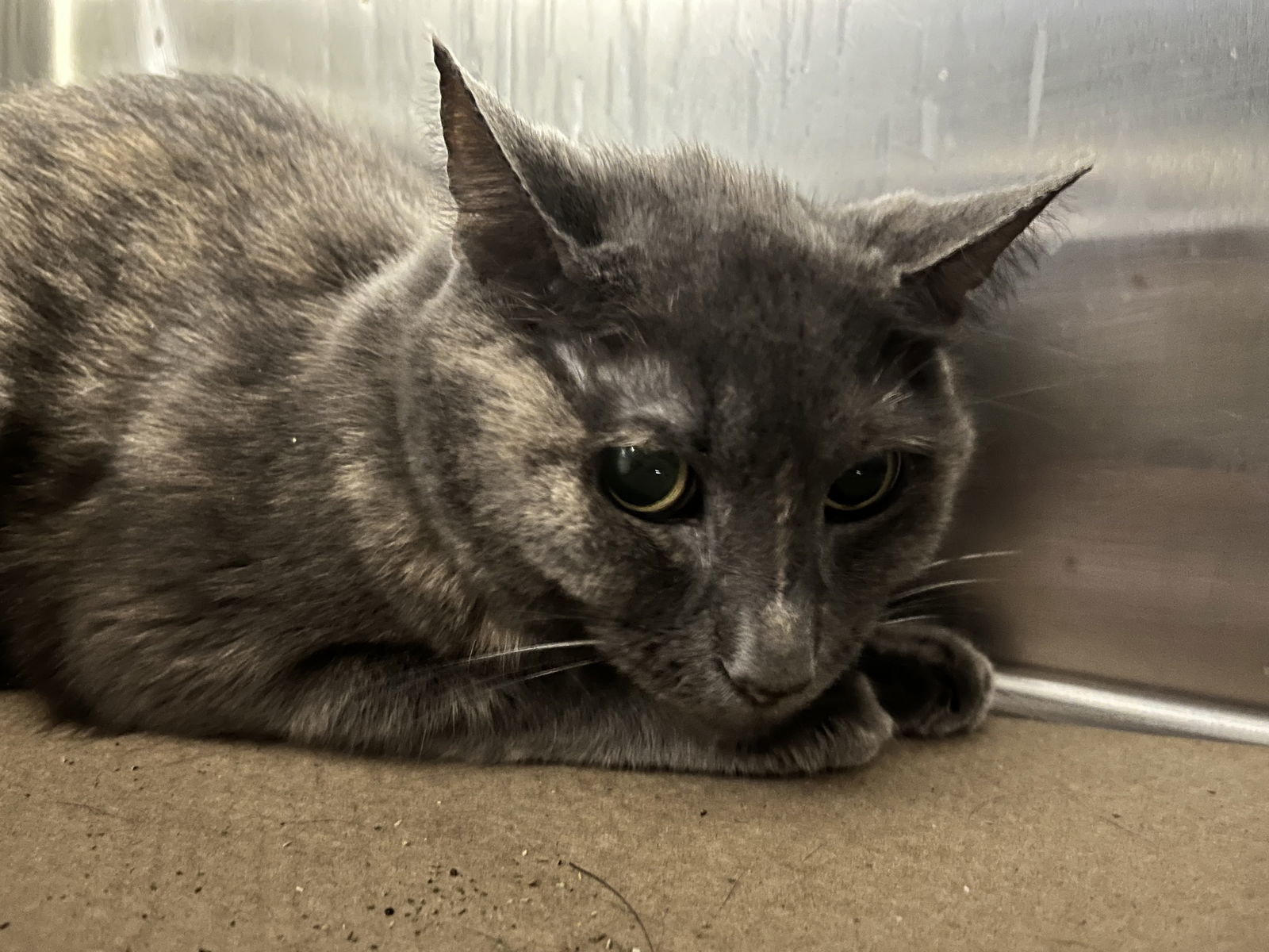 Perfect Patches (TAS#8)