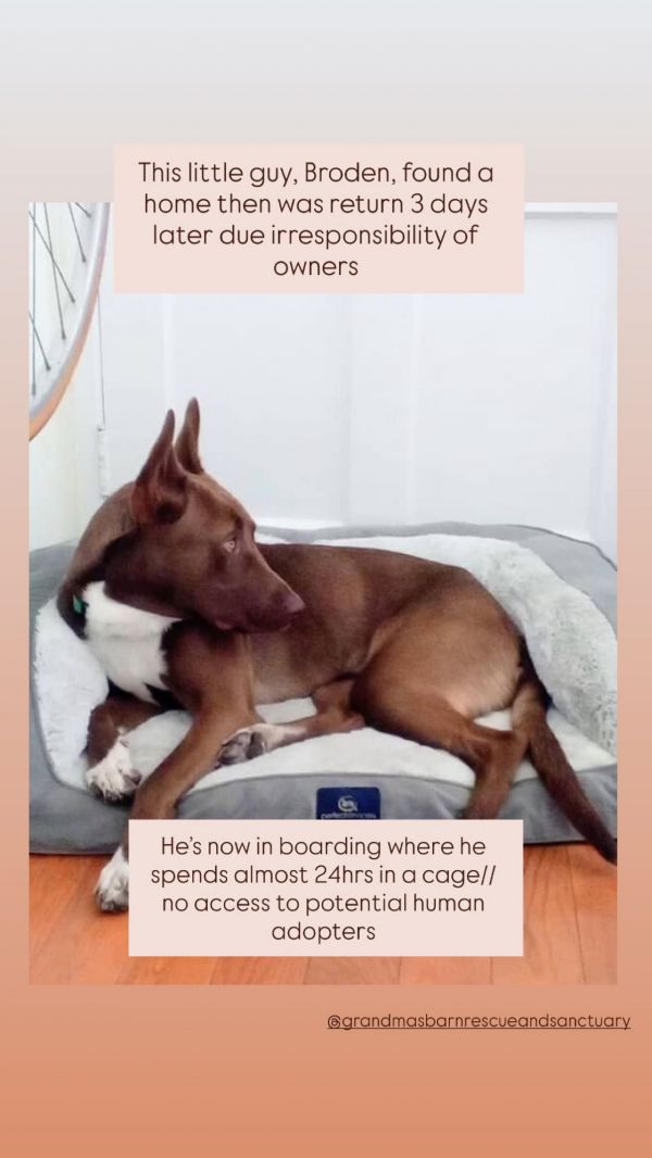 Broden Urgent In Boarding