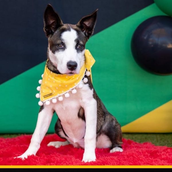 Fwt Sheila thumbnail 2