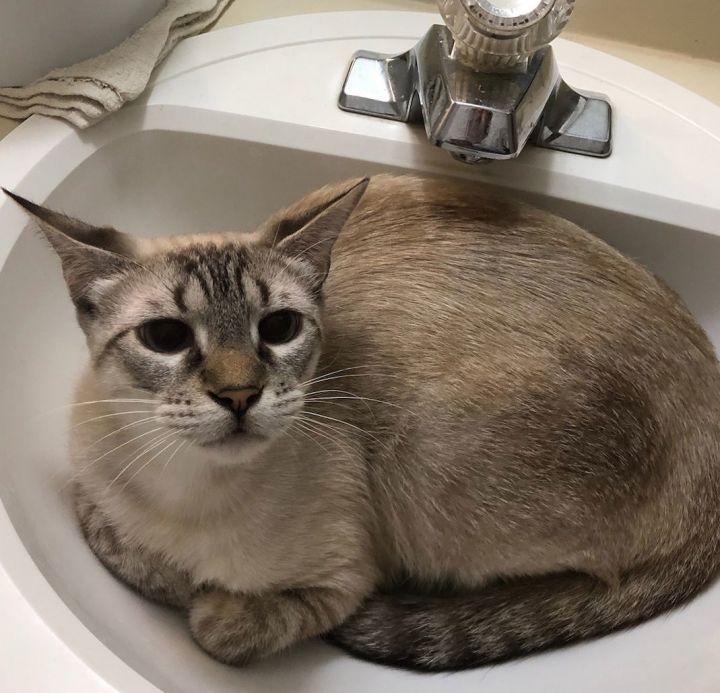 Willow #bonded-to-Raven 2