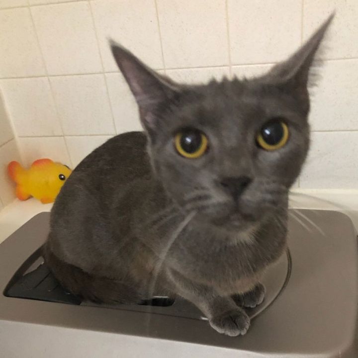 Raven #bonded-to-Willow 2