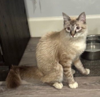 Theo Friendly&amp;fluffy thumbnail 2