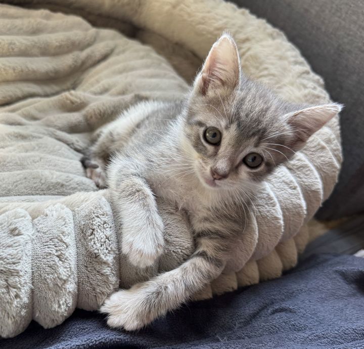 Apple #sister-of-Banana 3