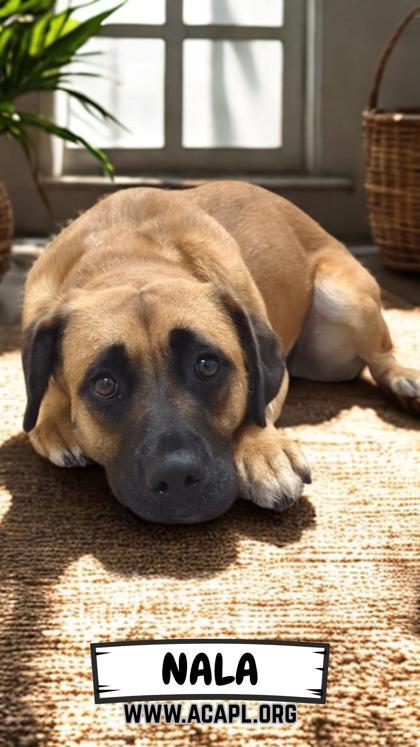 Nala