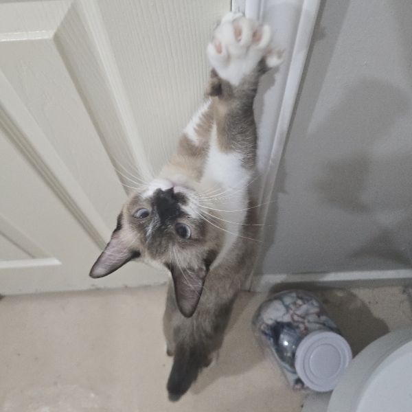 Casper