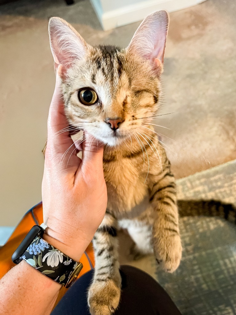 Kaia