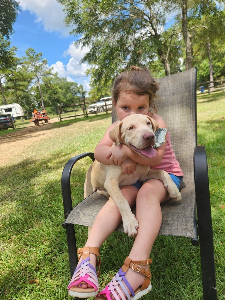 Crush -AKA Memphis- Nemo theme litter