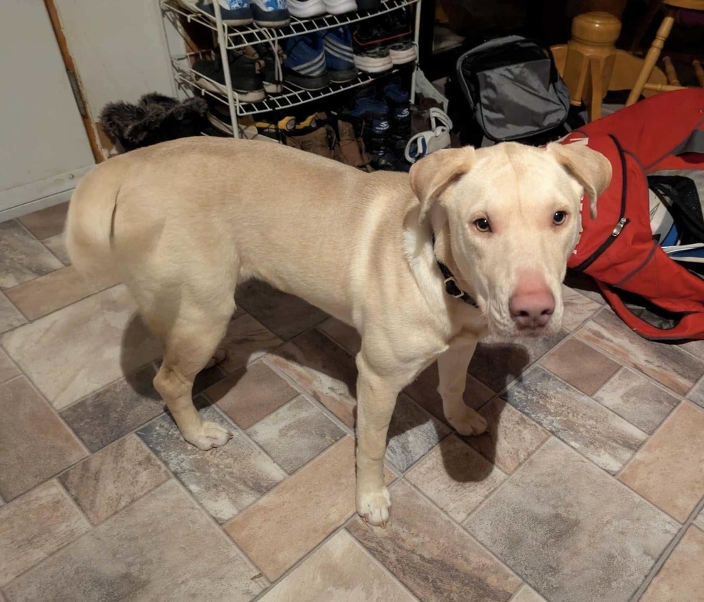 Crush -AKA Memphis- Nemo theme litter