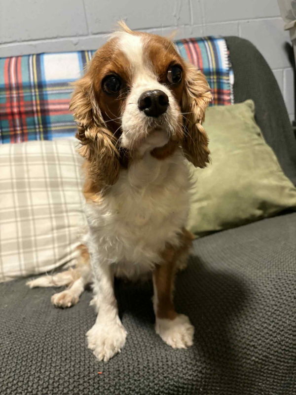 Raspberry thumbnail 2