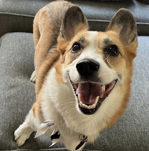 Sophie