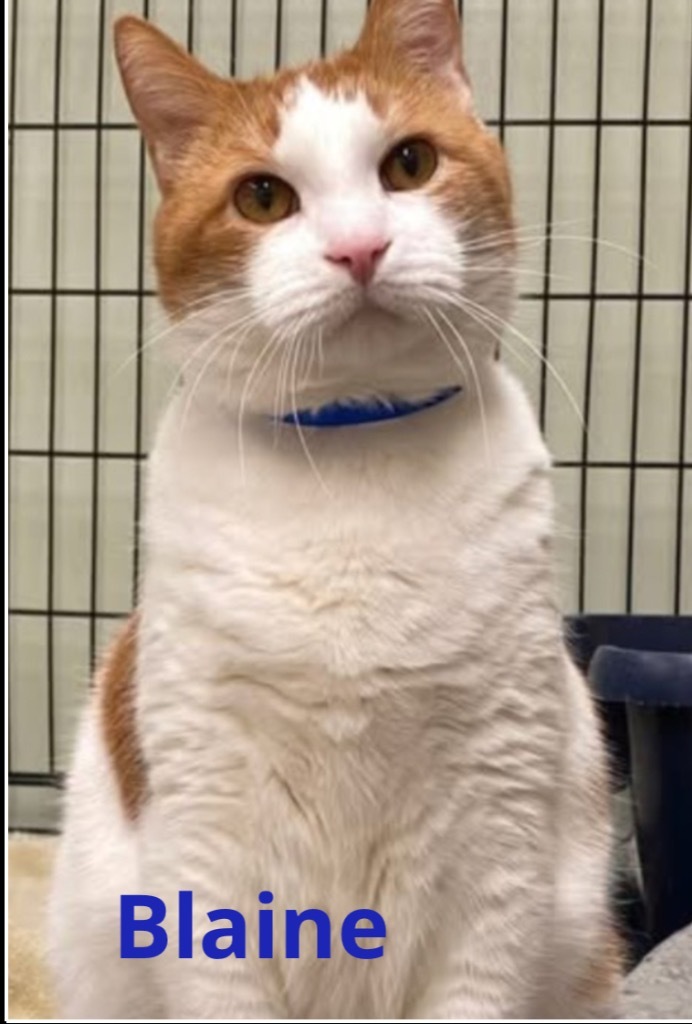 BLAINE