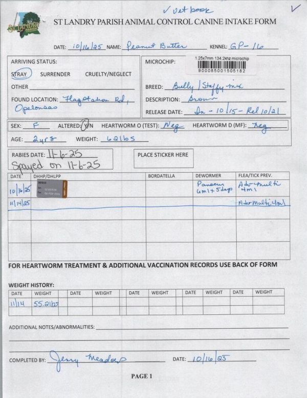 Peanut Butter thumbnail 2