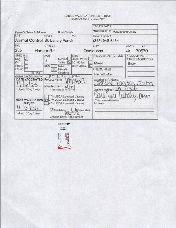 Peanut Butter thumbnail 3