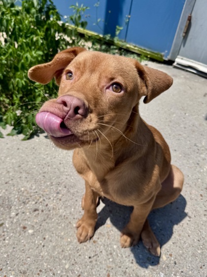 Bork Marley (in Foster)