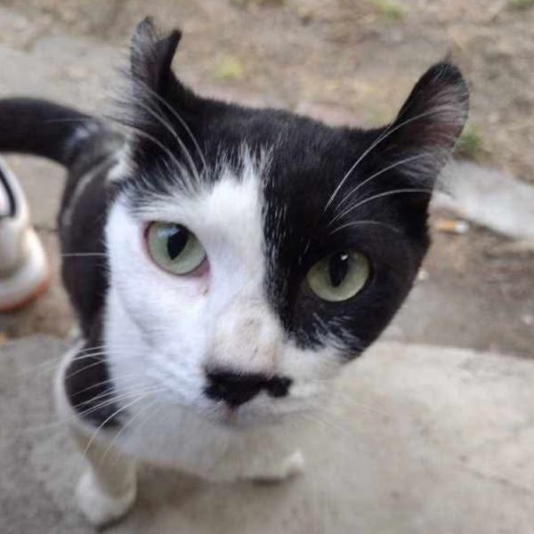 Carly Chaplin photo 1