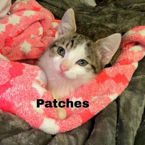 Patch