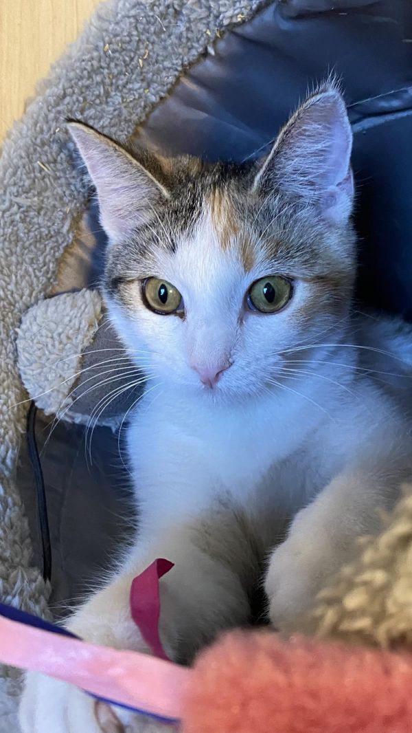 Gwen Kerby thumbnail 2