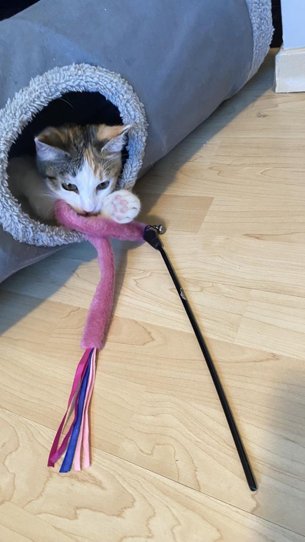 Gwen Kerby thumbnail 3