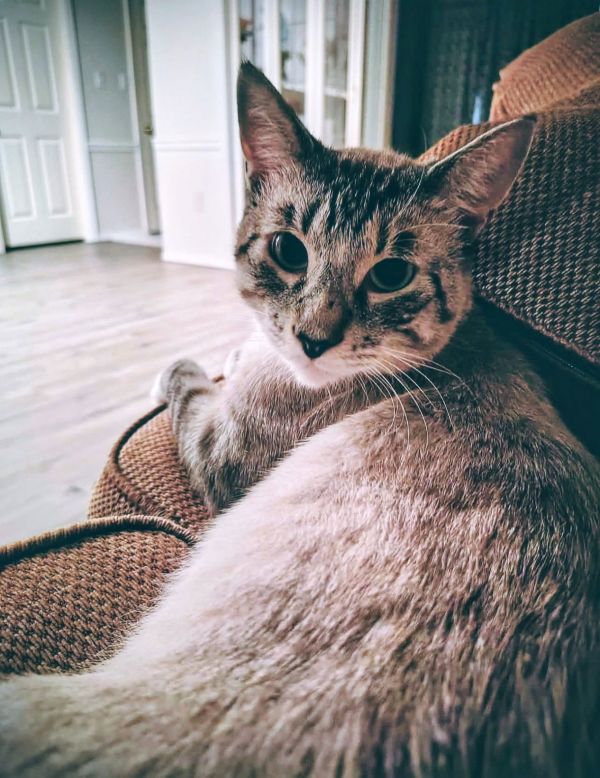 Frankie  Ms