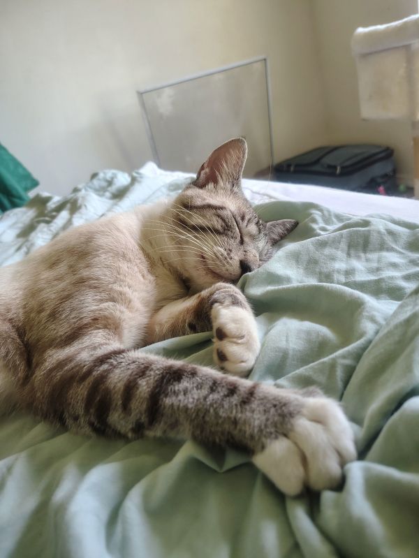 Frankie  Ms thumbnail 2