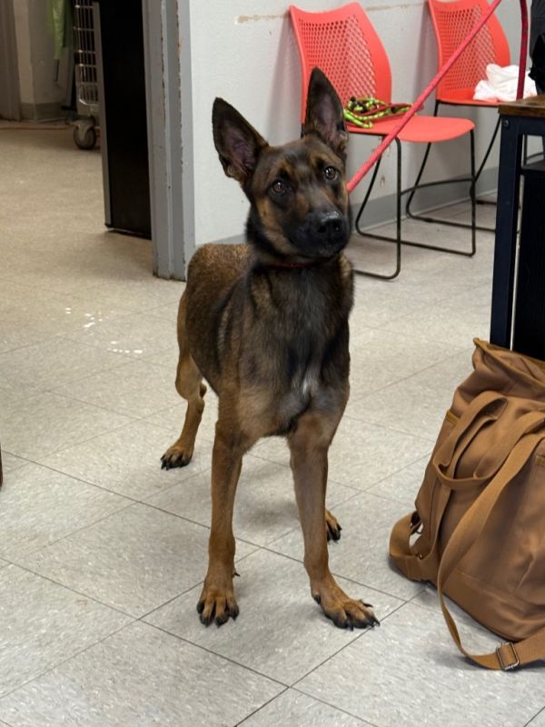 Ingrid Marie thumbnail 2