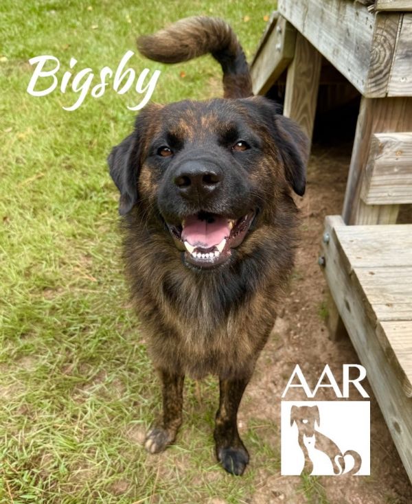 Bigsby