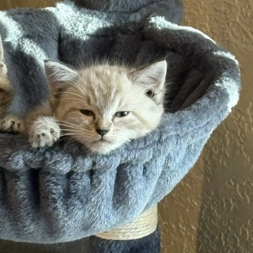 Benny